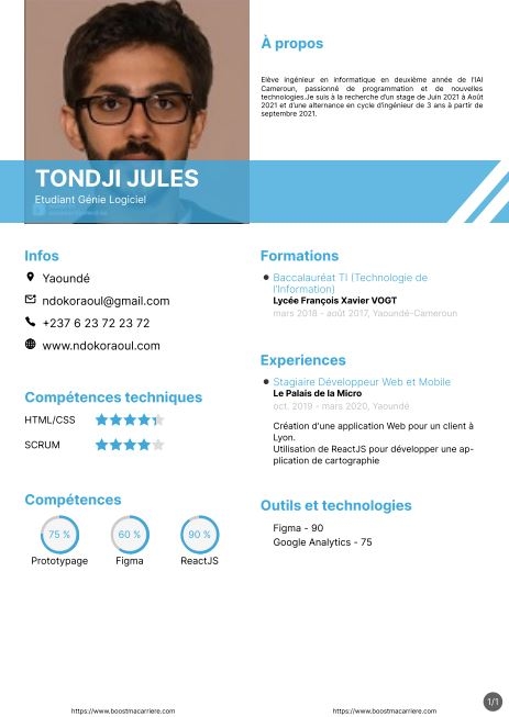 Resume created with template ResumeBlueGraphique