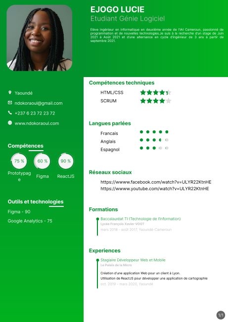 Resume created with template ResumeBuksteinV2