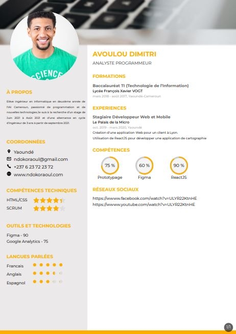 Resume created with template YellowResumeDirector